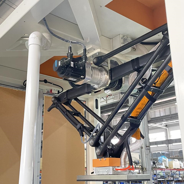 Automatic Case Packer