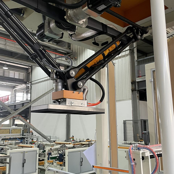 Automatic Case Packer