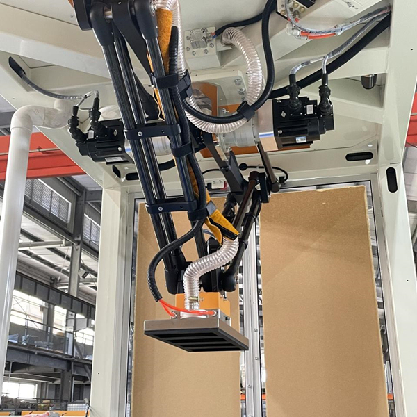 Case Packing Machine