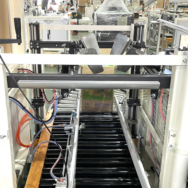 End of Line Case Packer