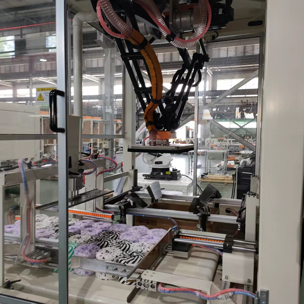 Otomatik Koli Paketleme